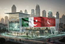 Top IT Projects Launched by PITB